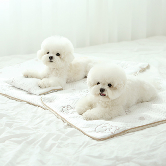 이츠독 반려동물용 포르페 쿨링 매트, 혼합색상, 1개