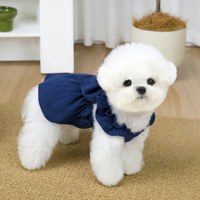 파스텔펫 반려동물 리본 프릴 골덴 원피스, 네이비, 1개