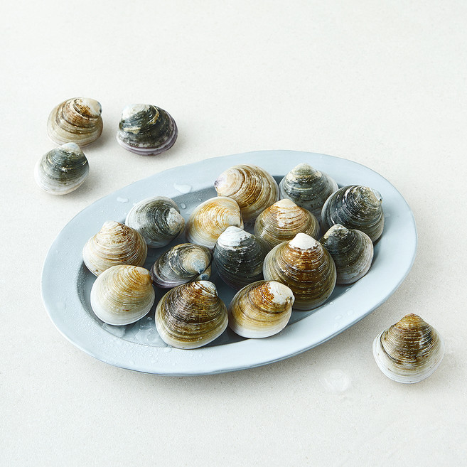 바다림 서해안 생물 모시조개 (냉장), 1개, 400g