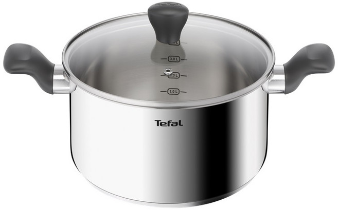 테팔 인덕션 스테인레스 스틸 이지쿡 양수냄비, 24cm, 무광그레이, 1개