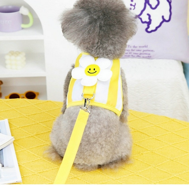 코코스튜디오 반려동물 코코 스마일 플라워 목줄 하네스, 옐로우, 1개