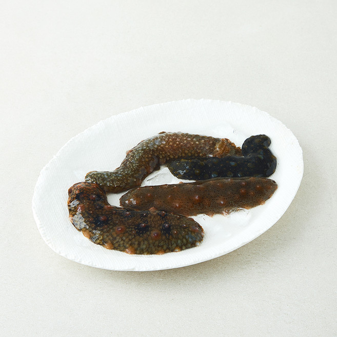 효성푸드주식회사 갯마을 남해안 해삼 (냉장), 1개, 150g