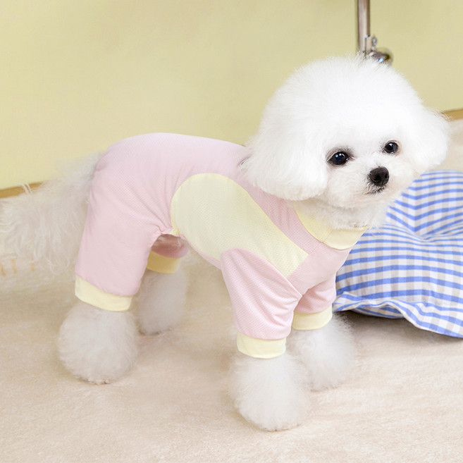 파스텔펫 반려동물 파스텔 배색 메쉬 올인원, 핑크, 1개