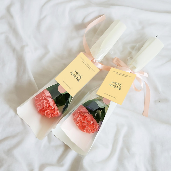 아스파시아 메시지 2p + 조화 플르 카네이션 한송이 비누 꽃다발 2p 세트 졸업 축하해 수고했어!, 오렌지, 2개