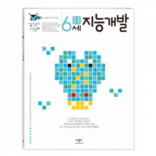 생각놀이 느낌놀이 지능개발 6세:유추 인과 관계를 파악하며 사고력을 기르고 쉬운 그림으로 연산을 경험합니다., 애플비북스