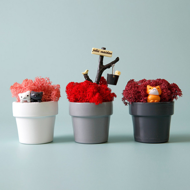 morningscent 스칸디아모스 비아포트 이끼 미니화분 2번 피규어 고양이 2종 + 양동이강아지 세트, 1세트