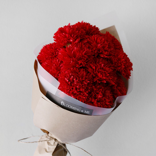 블루밍앤미 조화 비누꽃 카네이션 12p 꽃다발, 레드, 1개
