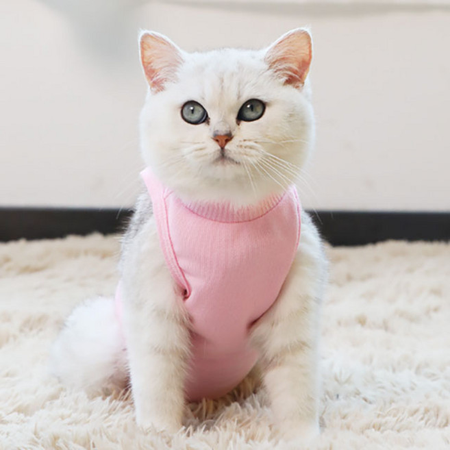 반려동물 중성화 수술복, 연핑크, 1개