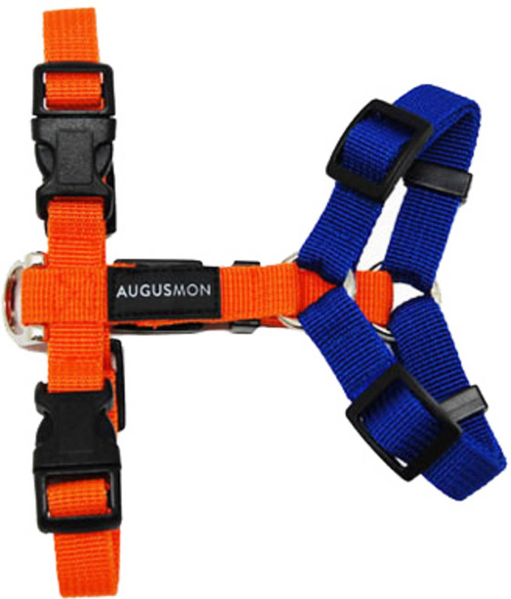 어거스몬 반려견 투톤 h형 하네스, 주황 + 파랑, 1개