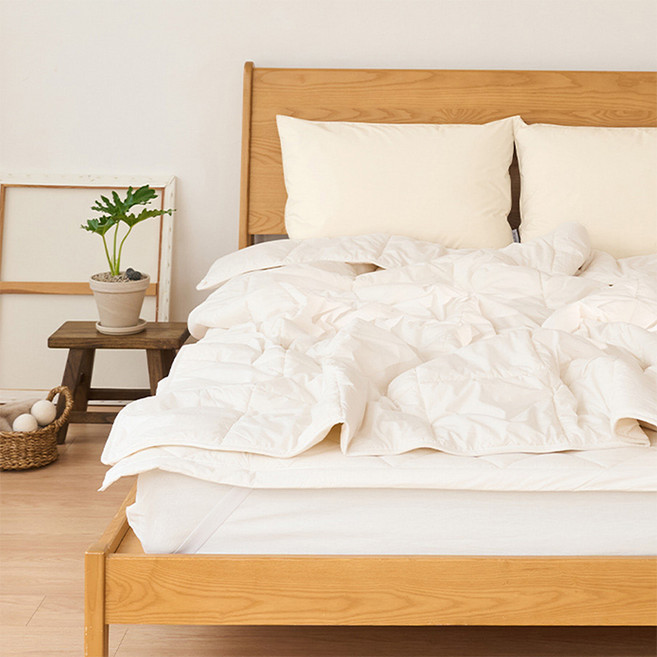 韓國 amante 紐西蘭羊毛60支高密度純棉鋪棉被, 自然色