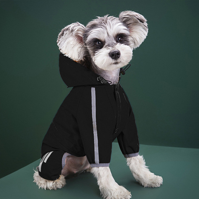 퍼피드림 반려동물 무르앙 발광 레인코트 10012, 블랙, 1개