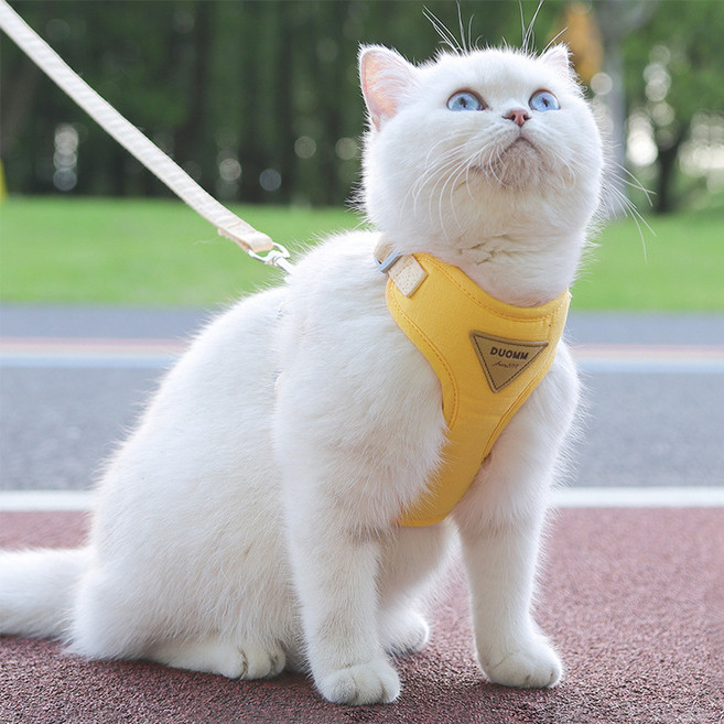 DUOMM 반려동물 소프트 컬러 메쉬 하네스 세트, 옐로우, 1개