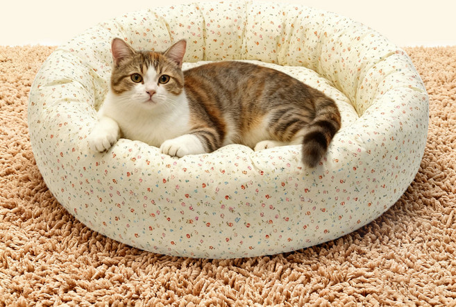 파스텔펫 반려동물 잔꽃 패턴 원형방석, 아이보리, 1개