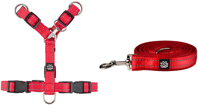 멍템 H형 앞섬방지 하네스 + 메쉬 리드줄 세트, 레드, 1개