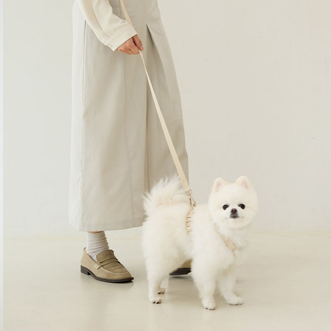 펫프렌즈 뮤트 강아지 H 하네스 + 핸즈프리 리드줄 세트, 아이보리, 1세트