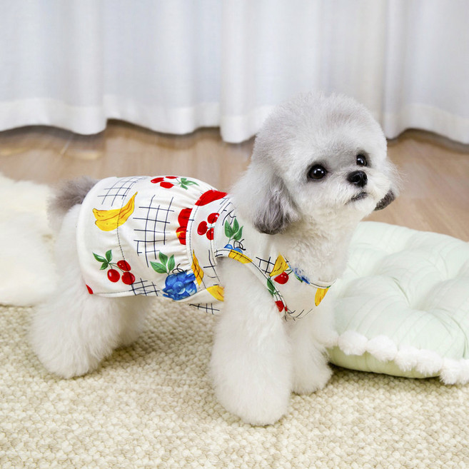 파스텔펫 반려동물 수채화 후르츠 원피스, 화이트, 1개