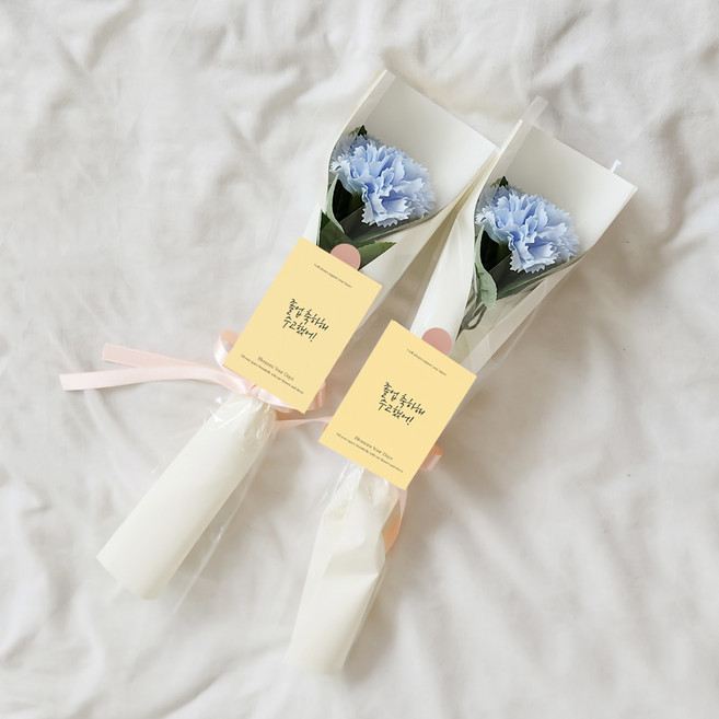 아스파시아 메시지 2p + 조화 플르 카네이션 한송이 비누 꽃다발 2p 세트 졸업 축하해 수고했어!, 스카이블루, 2개