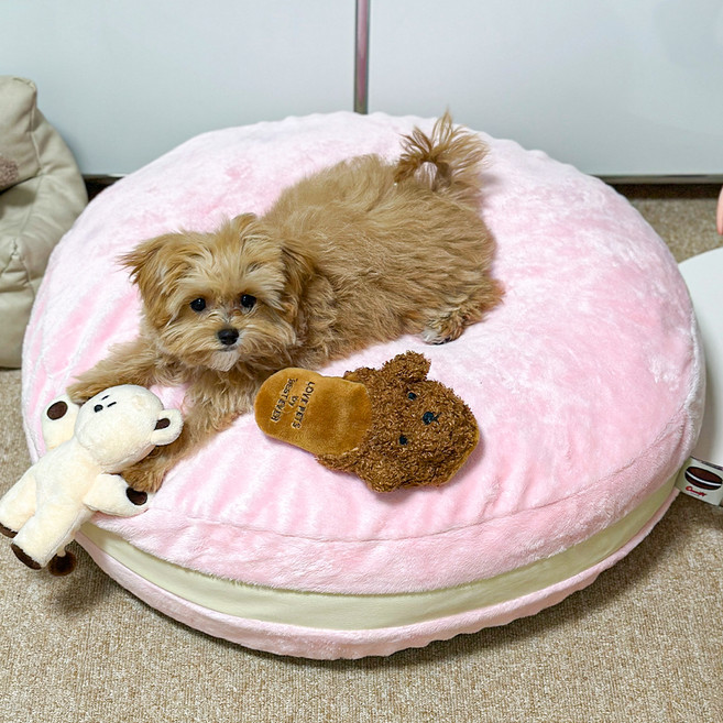 초코펫하우스 강아지 쿠션 겨울용 마카롱 방석, 11 B 수줍은 복숭아