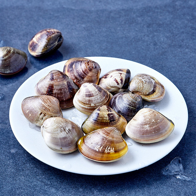 숨비해물 국내산 백합조개 (냉장), 1개, 500g