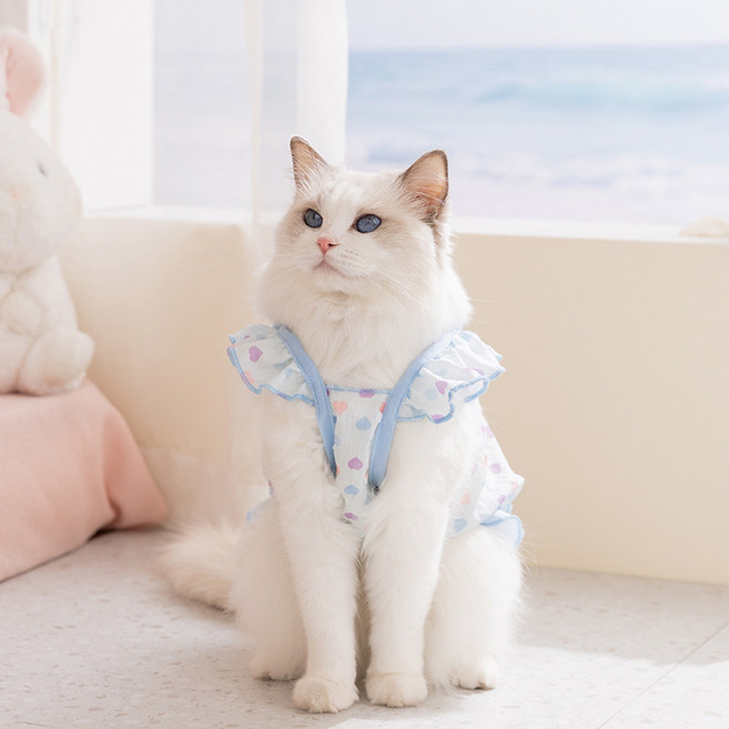 아티펫 반려동물 하늘거리는 쉬폰레이스 드레스, 블루, 1개