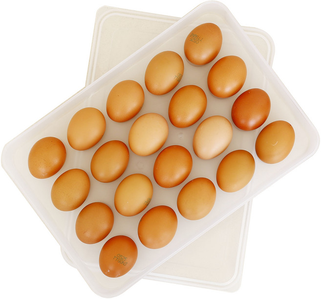 나누담 계란통 20구, 투명, 1개