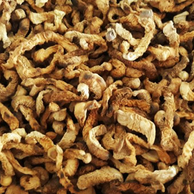 오가웰 유기농 무차, 50g, 1개