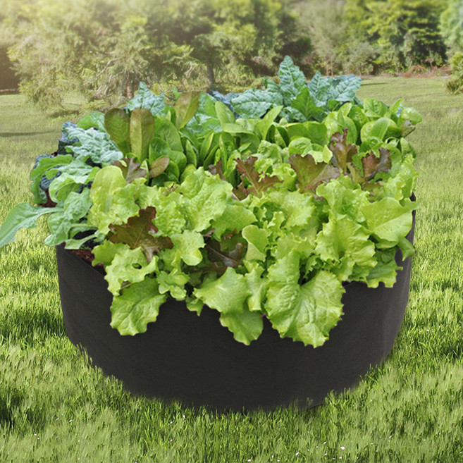 도매토피아 초록가든 베란다 텃밭 부직포 화분, 1개