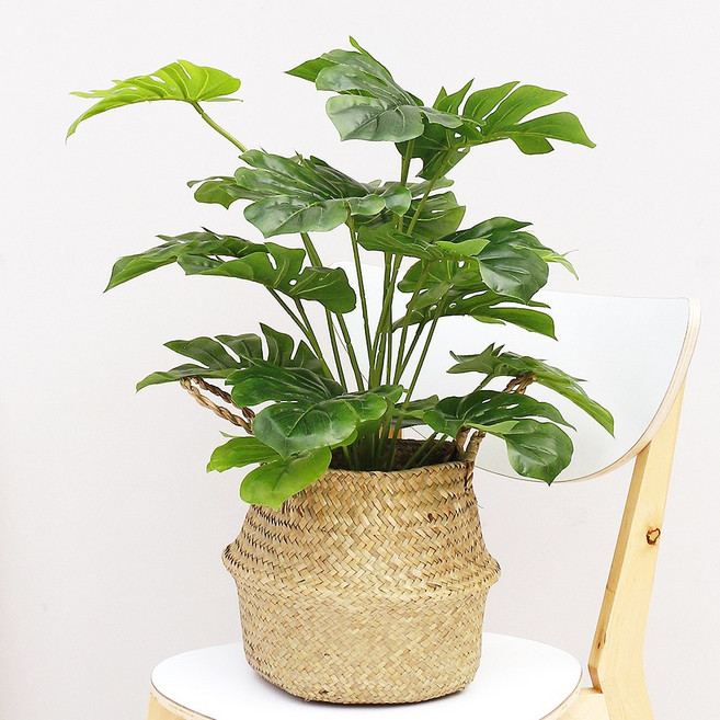 早晨香氣 龜背芋 DIY 人造花藤編套組, 混合色, 1套