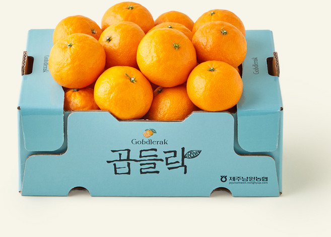 제주 남원농협 곱들락 카라향 랜덤과, 1개, 2kg