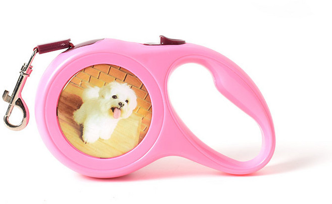 반려동물 산책줄 RD_677, 핑크, 1개