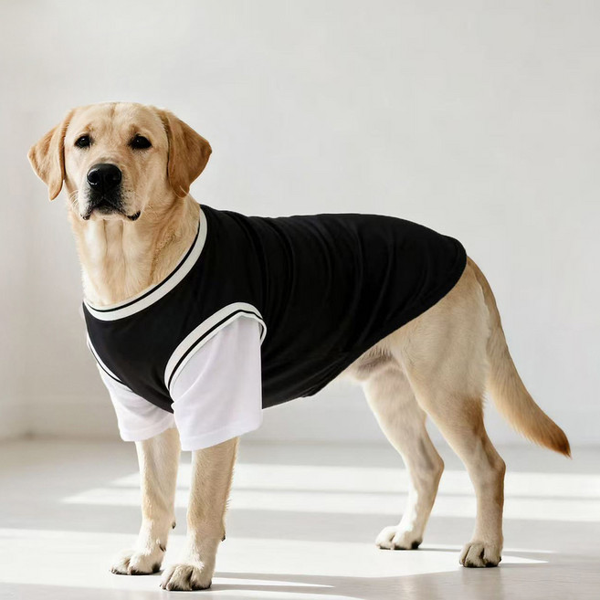 PASTEL PET 狗狗中大型犬線條運動T恤, 黑色, 1個