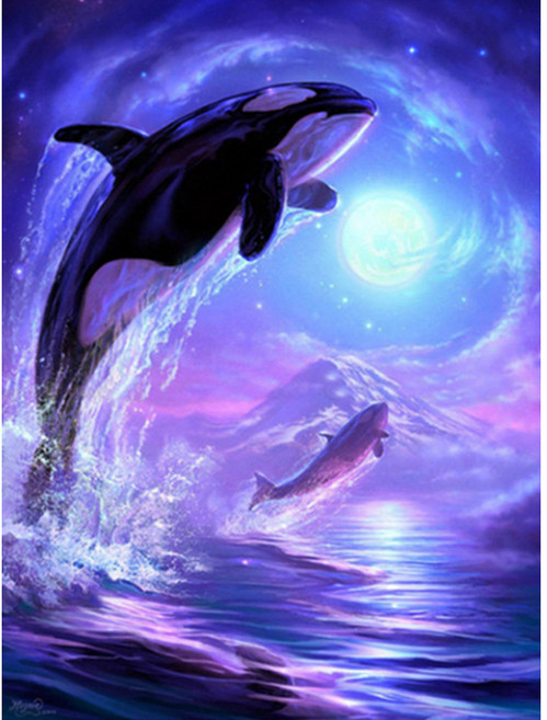 알로데 행성과 돌고래 달 DIY 보석십자수 세트 30 x 40 cm, NO09, 1세트