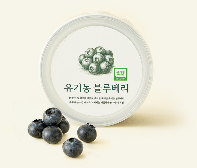 온브릭스 주식회사 농업회사법인 유기농 인증 바로먹는 블루베리, 1개, 200g