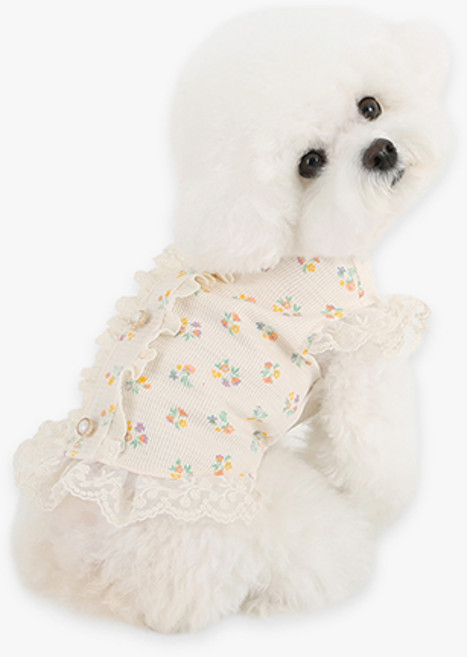 이츠독 반려동물 프리지아 프릴 가디건, 혼합색상, 1개