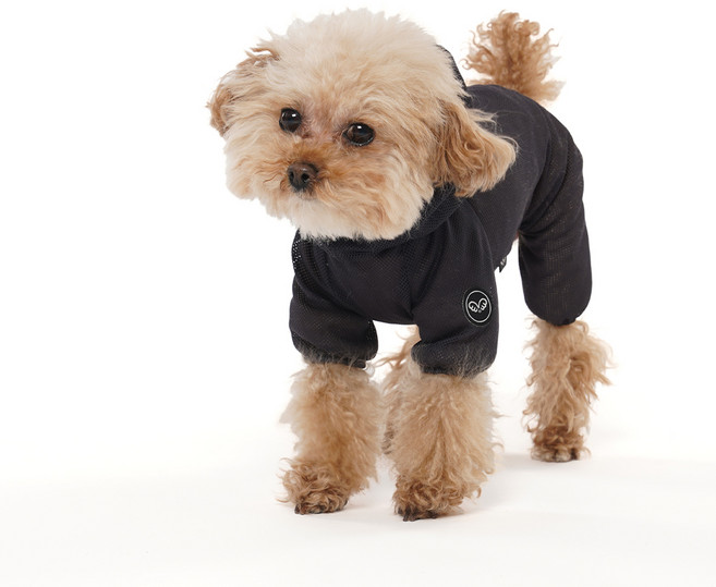 퍼피엔젤 강아지 메쉬커버롤 올인원 PA-OW005, 806 NAVY, 1개