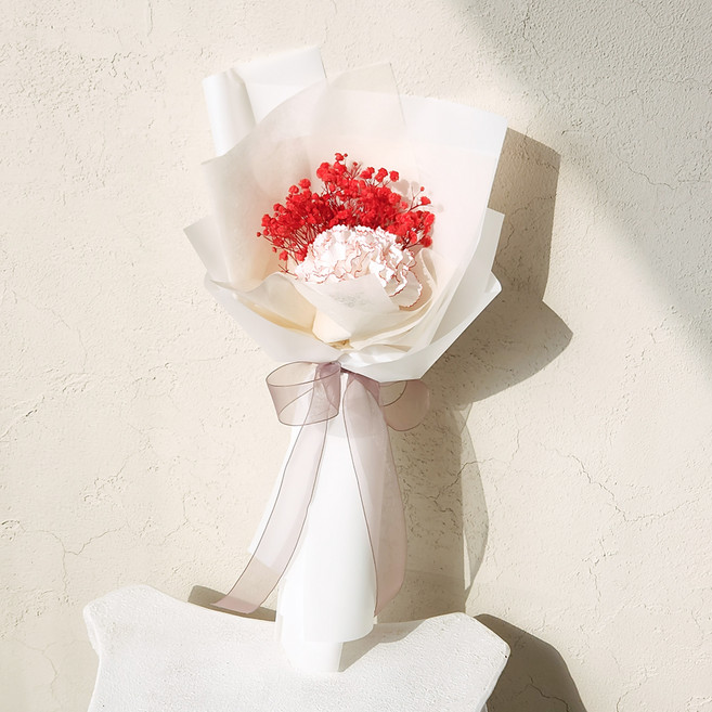 아스파시아 조화 소중한 인연 연화 카네이션 프리저브드 안개 꽃다발 + 쇼핑백, 레드(조화), 1개