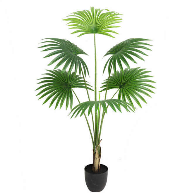 비로야자 120cm, 혼합색상, 1개