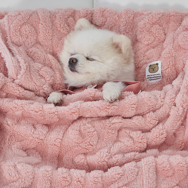 도그아이 반려동물 펫 꽈배기 담요, 베이비핑크, 1개