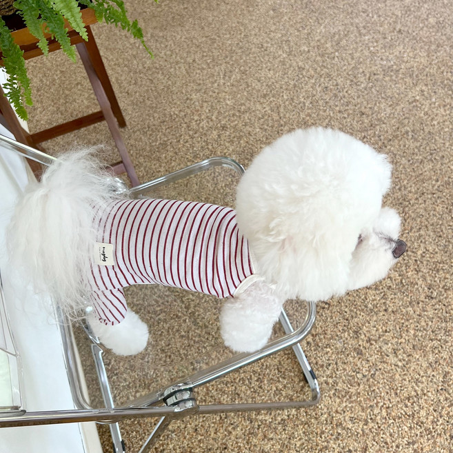 매그독 강아지 노트 린넨 올인원, red, 1개