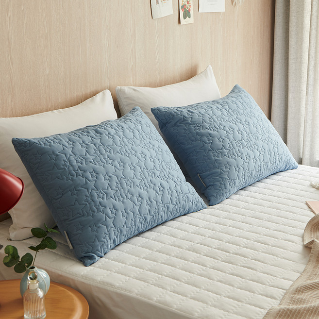 데시뉴 에센스 항균 누빔 베개커버