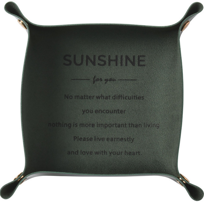 다용도 가죽 트레이, 그린, 1개