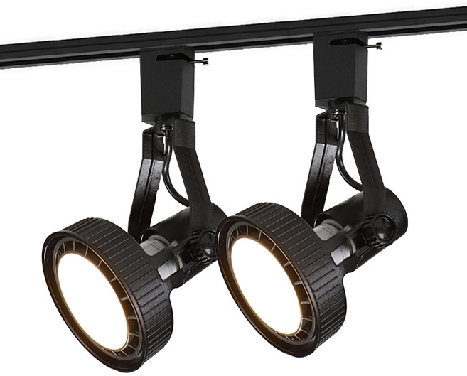 KDT 등기구 레일등 PAR30, 블랙, 2개