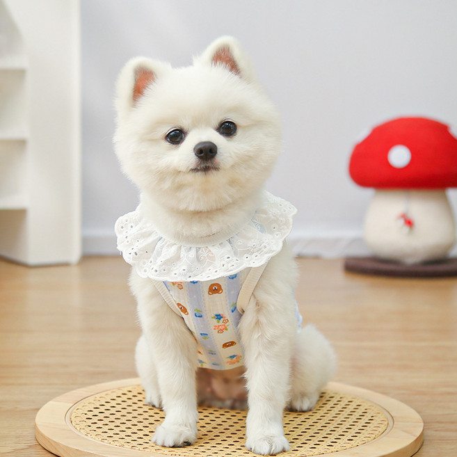 PASTEL PET 寵物蕾絲無袖T恤, 1個, 藍色