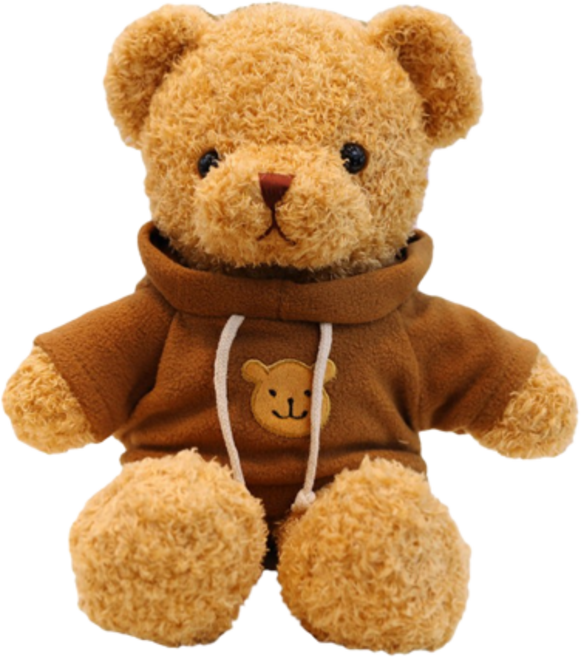 네이처타임즈 곰돌이 테디 봉제인형, 맨투맨브라운