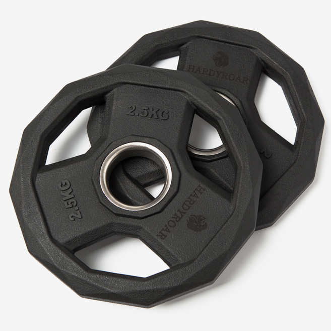 하디로어 바벨 중량 원판 헬스 역기 무게 플레이트, 2.5kg, 2개, 혼합색상