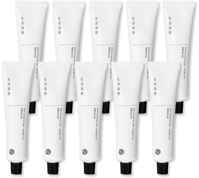 생활도감 민트향 치약, 100g, 10개
