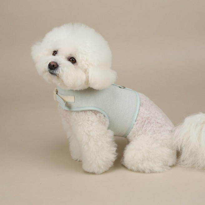 리토가토 강아지 멜로우 하네스, 민트, 1개