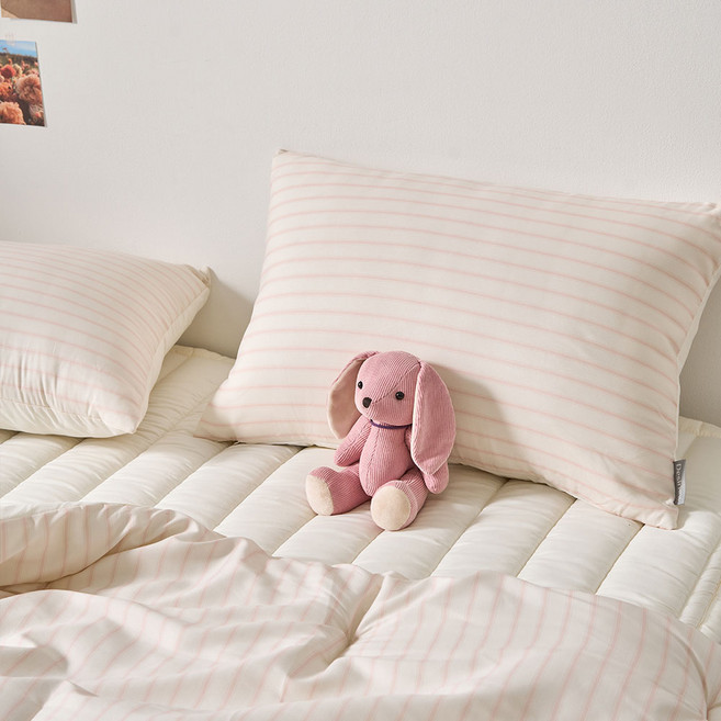 데시뉴 스위트 라이프 사계절 누빔 베개커버