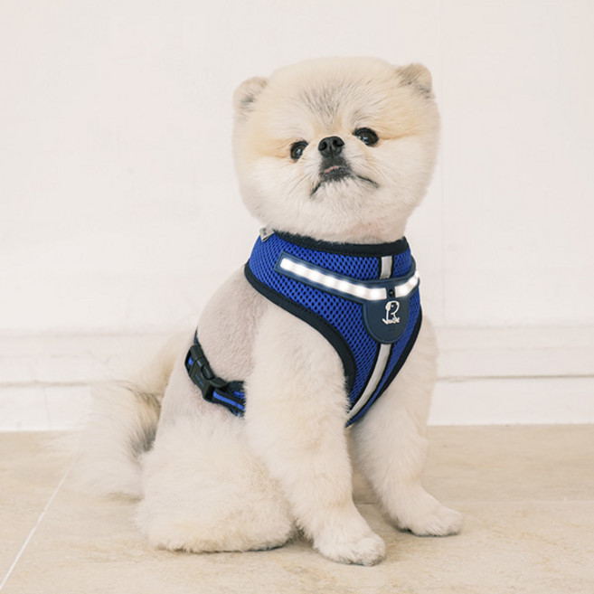 RealPet 화이트 LED 강아지 외출 하네스, ROYALBLUE, 1개