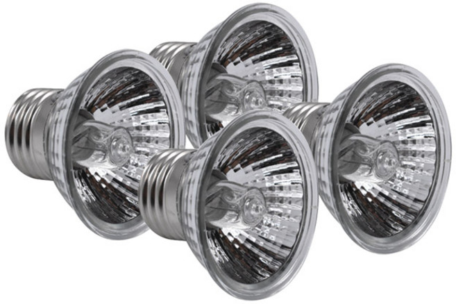 아쿠아비 유브이 파충류용 할로겐 램프 25W, 혼합색상, 4개